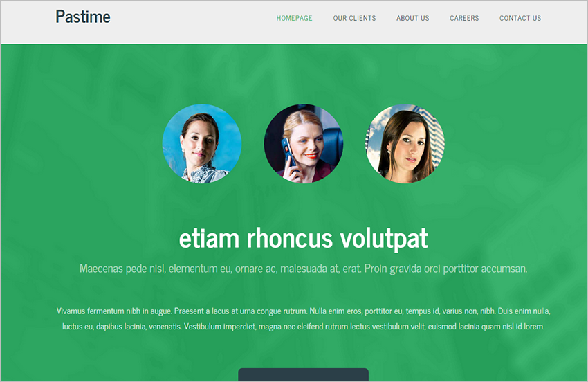 Best Landing Page Theme