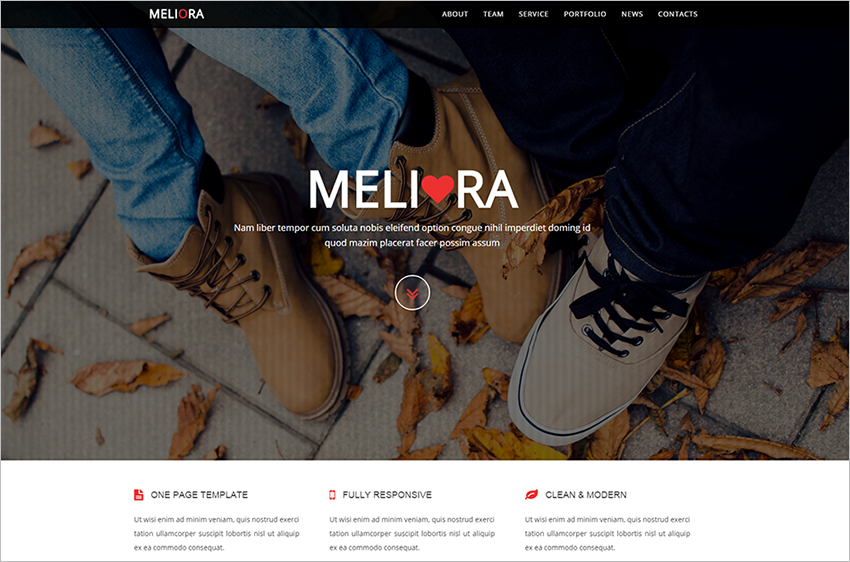 Clean & Modern Responsive One Page HTML5,CSS3 & JQuery Theme