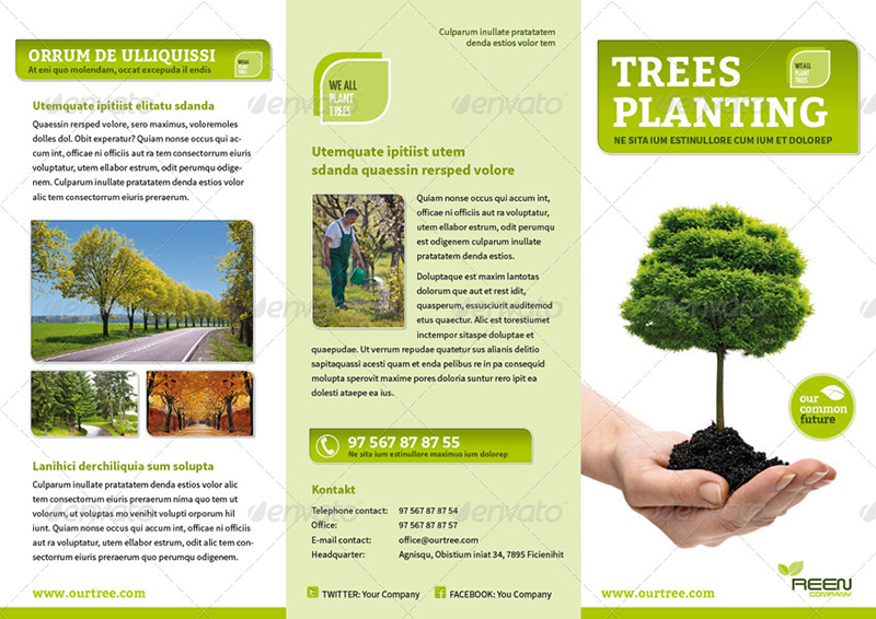 Event or Product Promotion Brochure