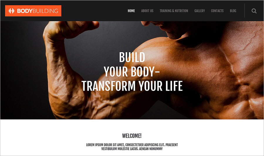 Fully Editable WordPress Blog Theme