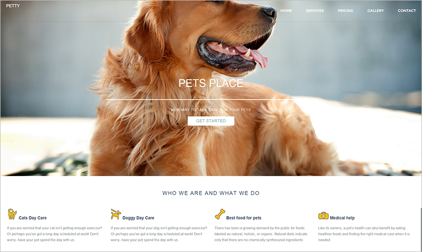 Responsive HTML5 CSS3 Site Template