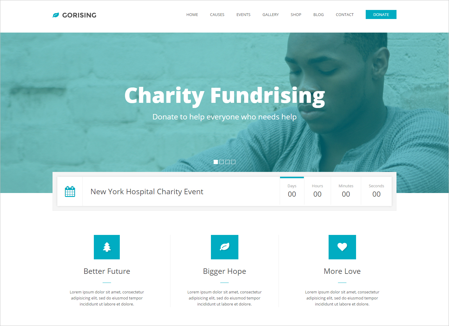 Bootstrap HTML5CSS3 Non Profit Template
