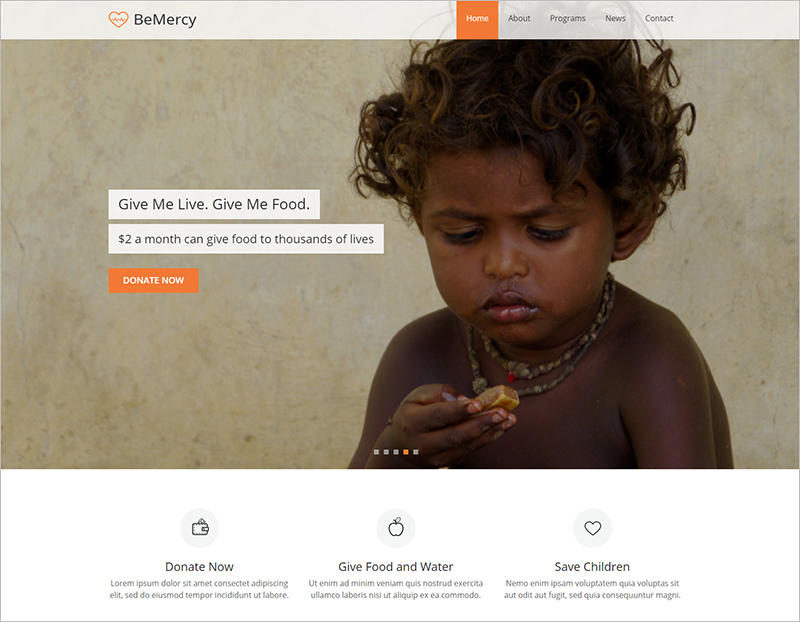 Charity Organisation Web Template