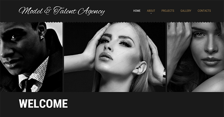 Fashion Designer Website Template