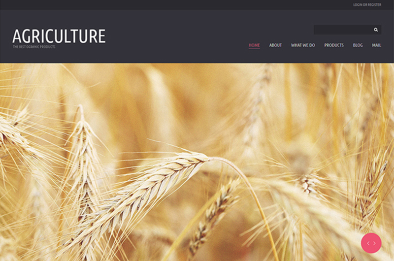 Organic Eating Joomla Template