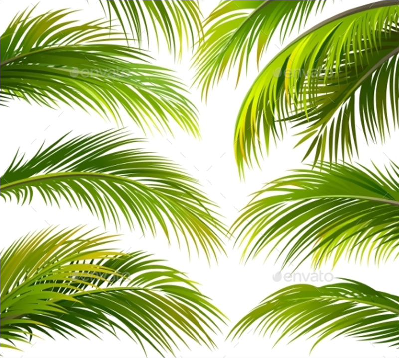 Palm Leaves Vector