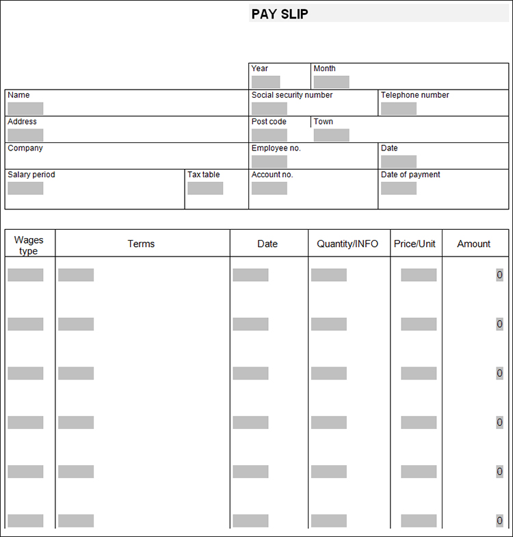 Pay Slip Template