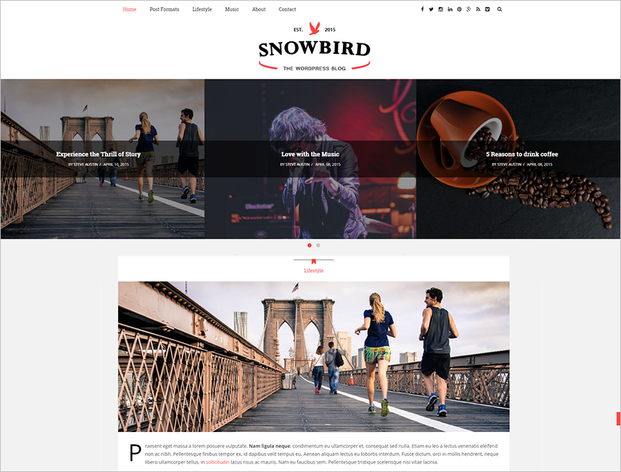 SEO Made Responisve WordPress Blog Theme 