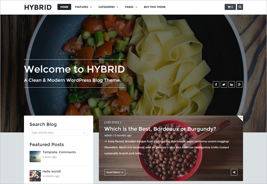 SEO Optimized Modern WordPress Blog Theme