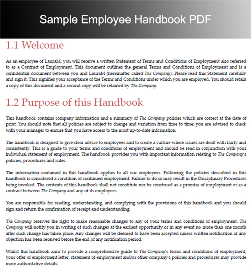 Small Business Policy And Procedures Manual Template