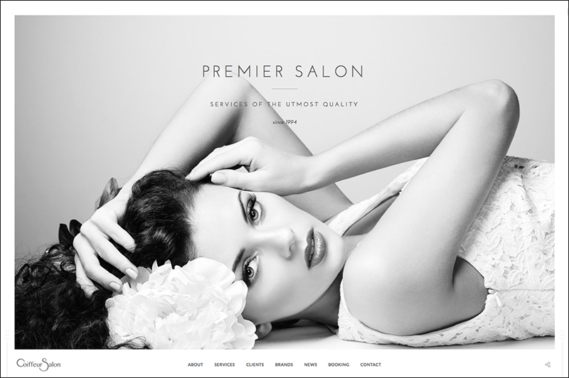 WP Full-Screen Salon Theme