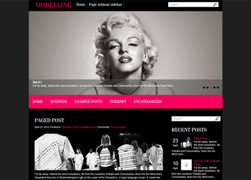 WordPress Theme For Modelling Website
