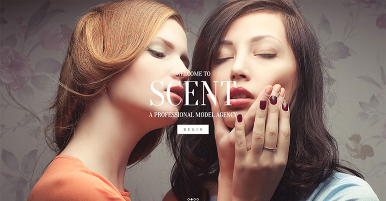 Model Agency Wordpress Themes