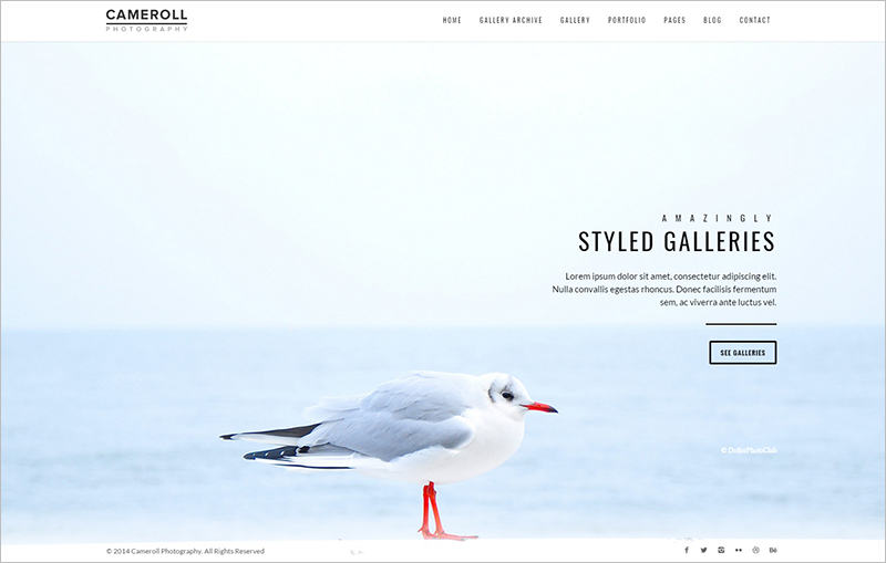 photography html5 template