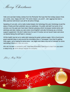 17+ Christmas Letter Templates - Free PSD, PDF, Word Format