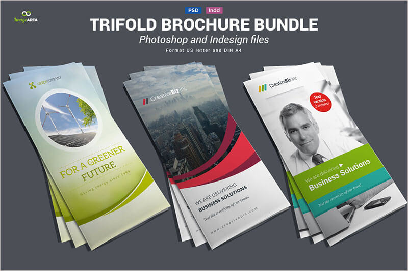 Bundle of Trifold Brochures