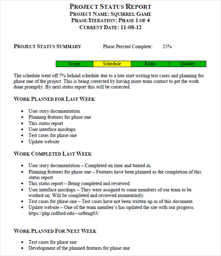 6+ Status Report Templates Free Word, PDF, Excel Formats