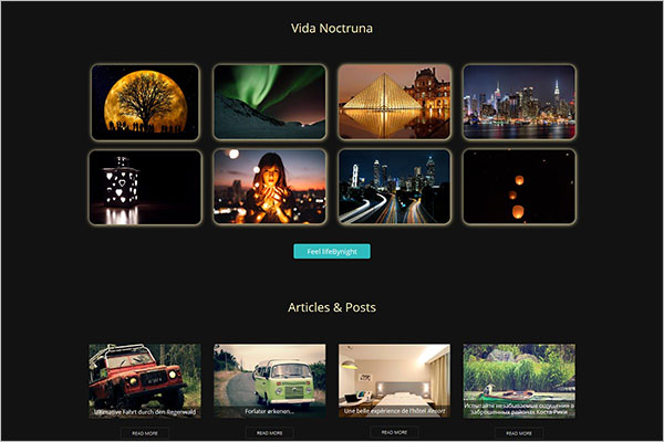 Create Free Travel Agency Website