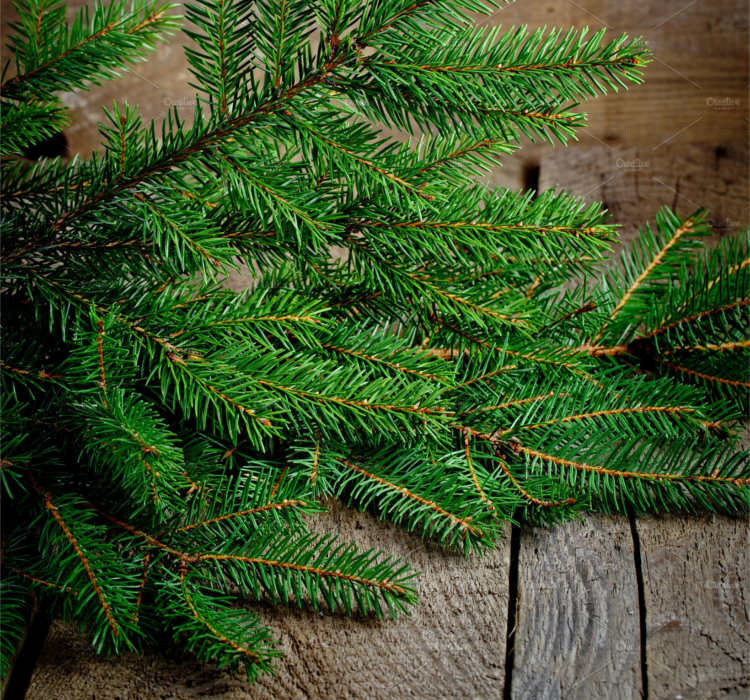 Vector Christmas Decoration Templates