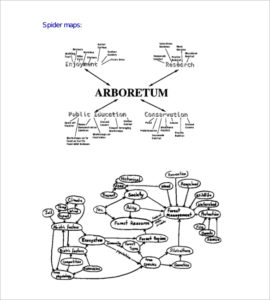 concept-spider-map-templates