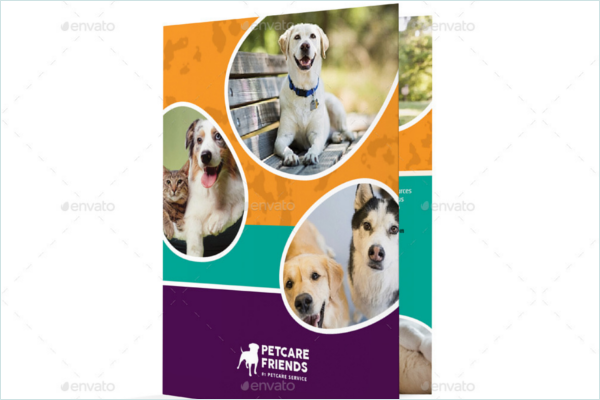 Doggy Day Care Brochure Design