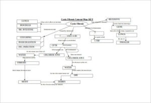 modern-concept-model-map-templates
