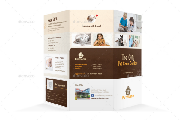 Pet Care Brochure Template