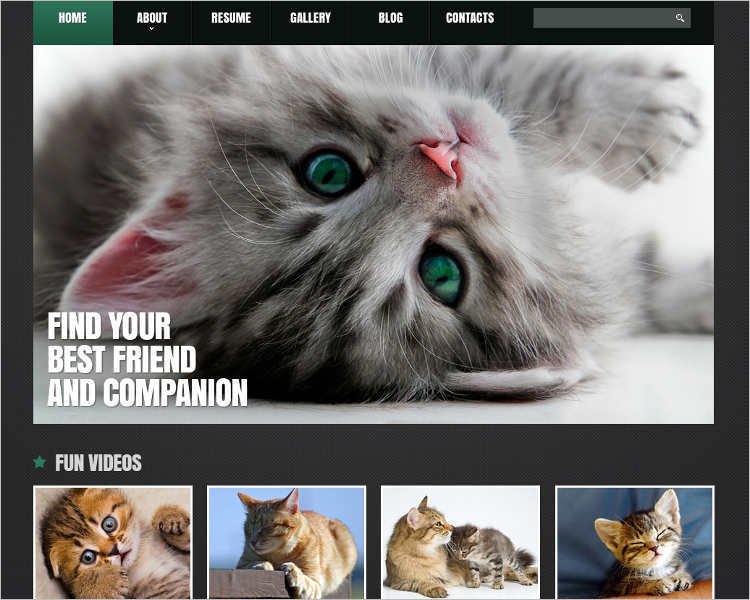 animal-adoption-joomla-template