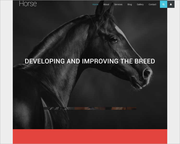 animal-business-joomla-template