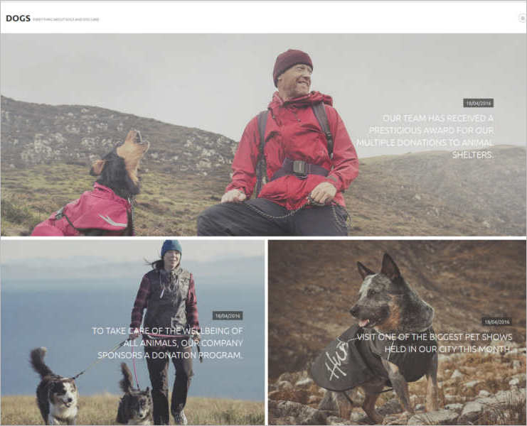 animal-joomla-sitting-template