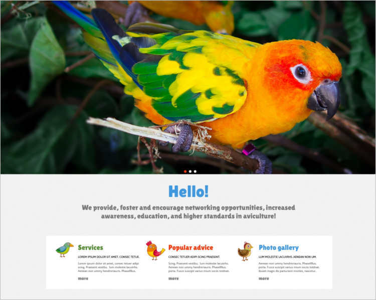 birds-joomla-template