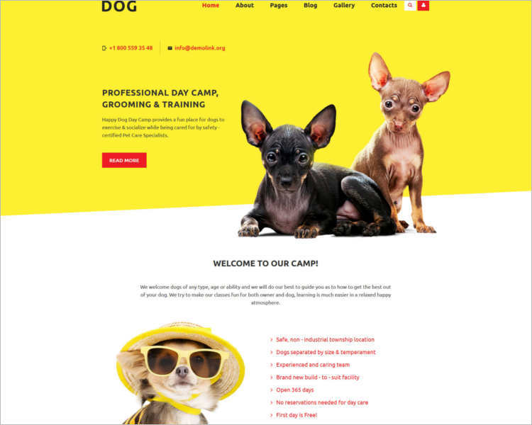 dog-store-joomla-template