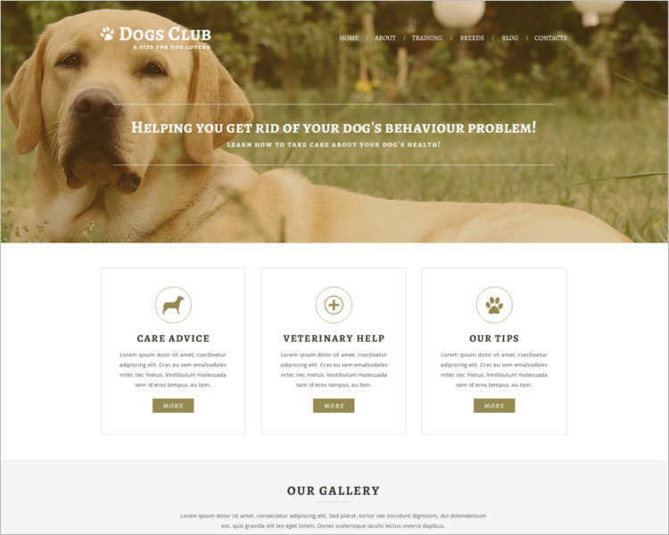 extension-pet-joomla-template