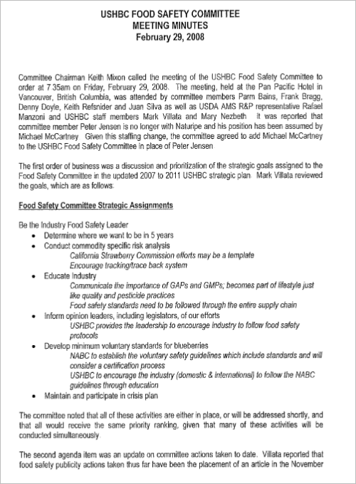 meeting minutes template