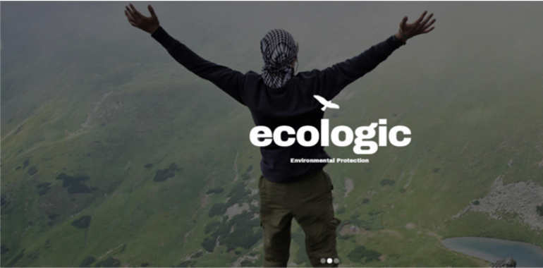 Elegant Drupal Themes