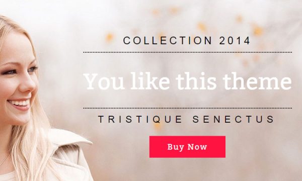 34+ Best Clothing Websites Templates Free eCommerce Templates