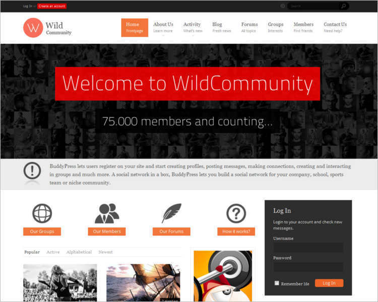 e-commerce-buddy-wordpress-templates