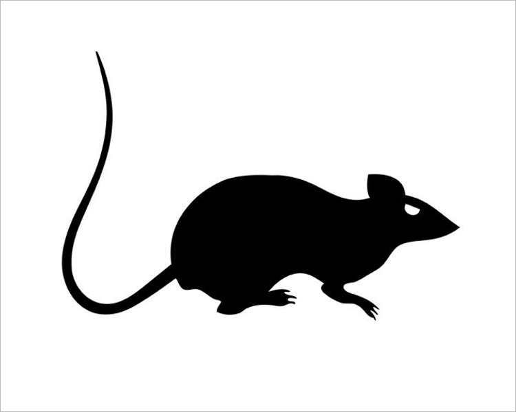 free-halloween-rat-printable-templates