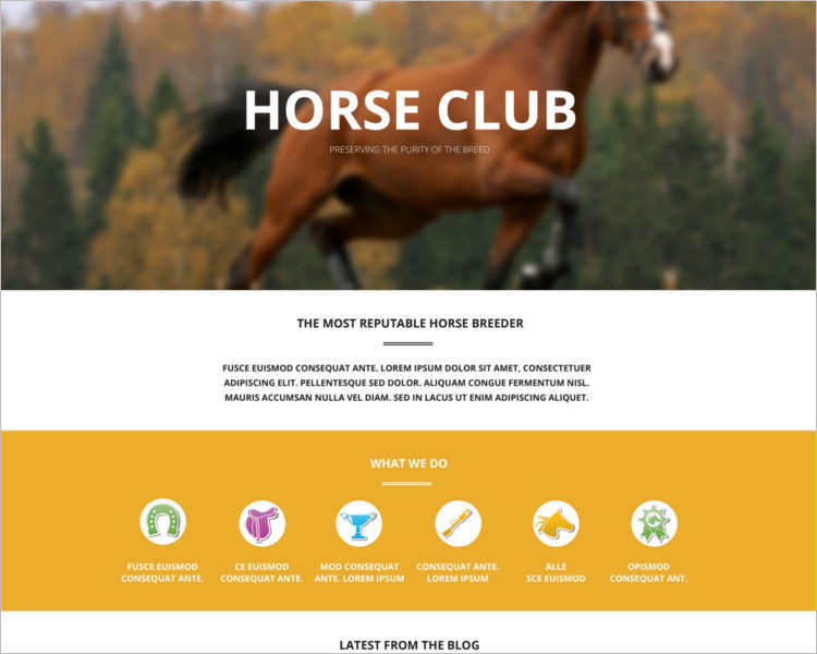 free-horse-breed-club-wordpress-theme-templates