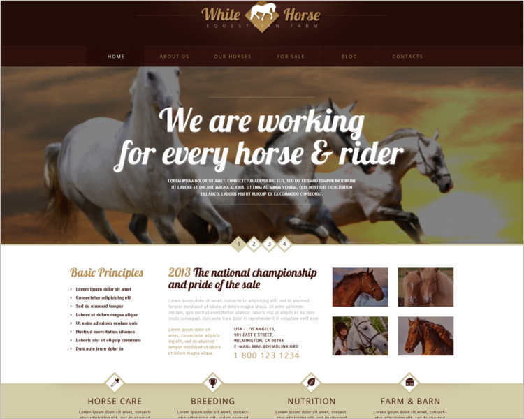 gorgeous-horses-wordpress-theme-templates