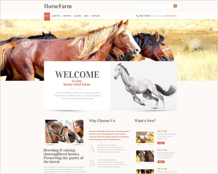 horse-farm-worspress-theme-templates