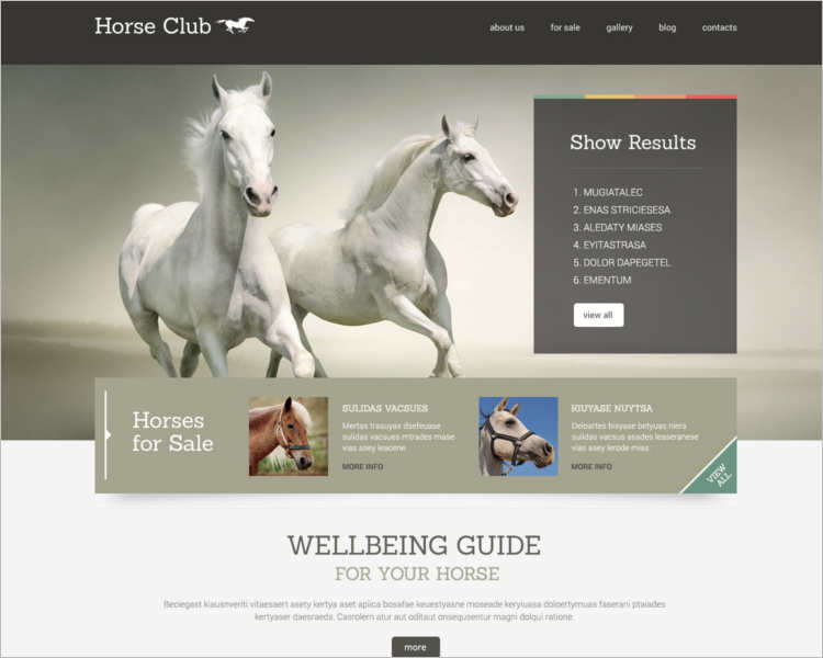horse-ride-guide-wordpress-theme-templates