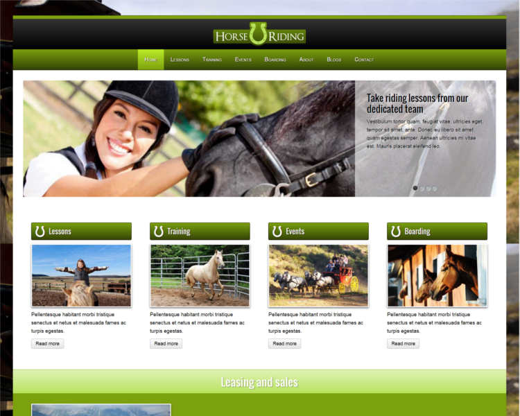 horse-traning-wordpress-theme-templates