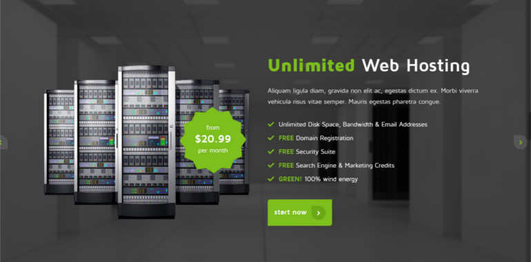 Hosting Website Themes