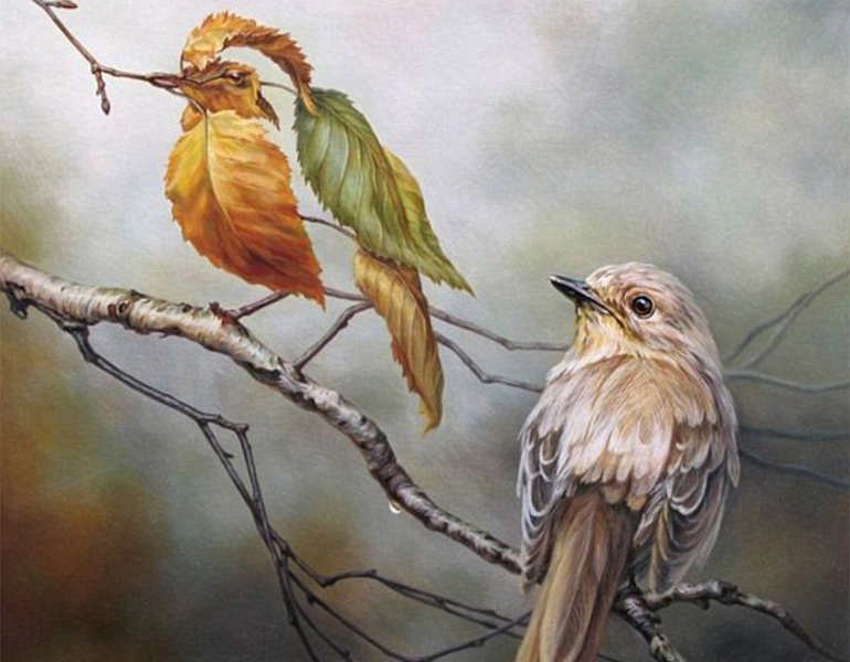 optimal-birds-illusion-painting