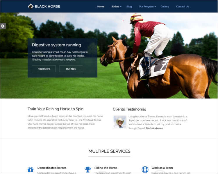 premium-horse-wordpress-theme-templates
