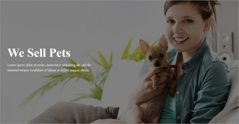 pet shop wordpress themes