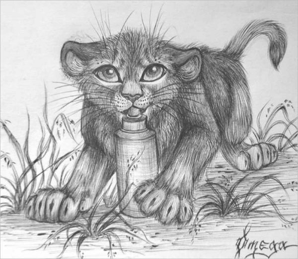 18 Lion Pencil Drawing Free Sketch Designs Creative Template