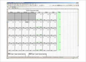 10+ On Call Schedule Templates Free Word, PDF, Excel Formats