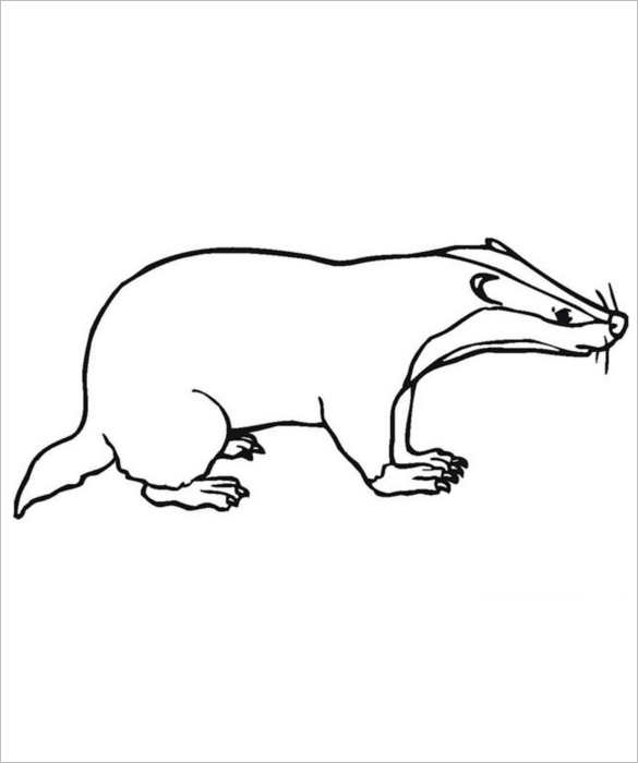 Animal Body Outline Templates